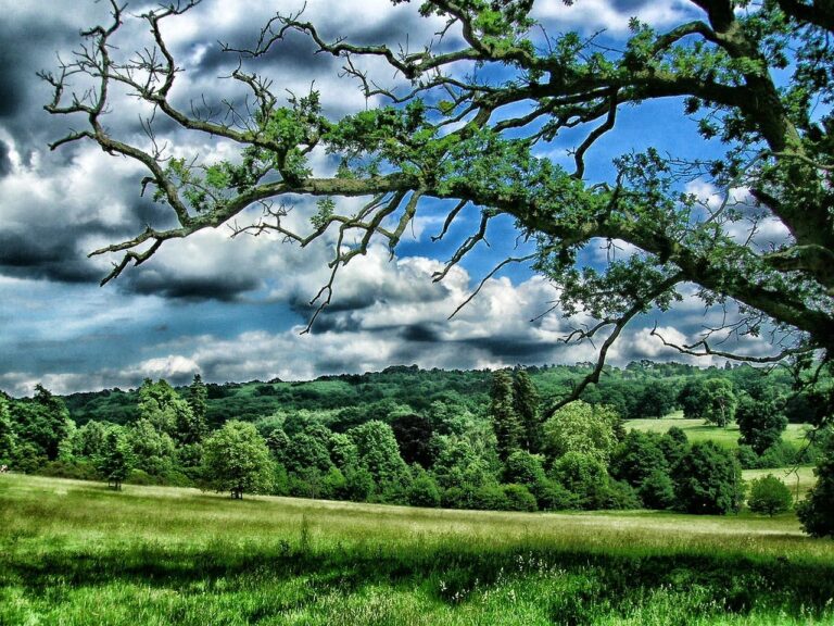 Responsible & Ethical Shooting in Kent: A Guide to Sustainable Field Sports