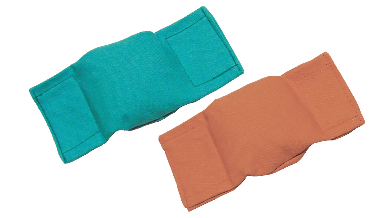 Beanbag Puppy Dummy by Bisley Green